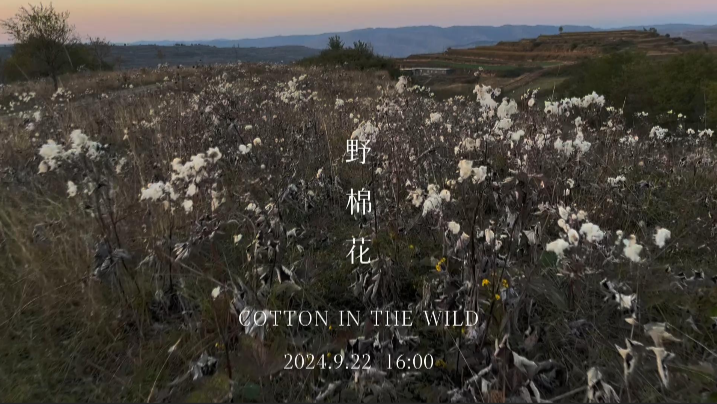 蹑石